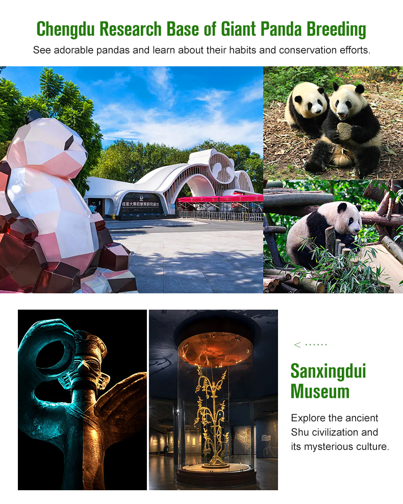 Breaking Down Sichuan Travel Service Charter Prices: A Complete Guide